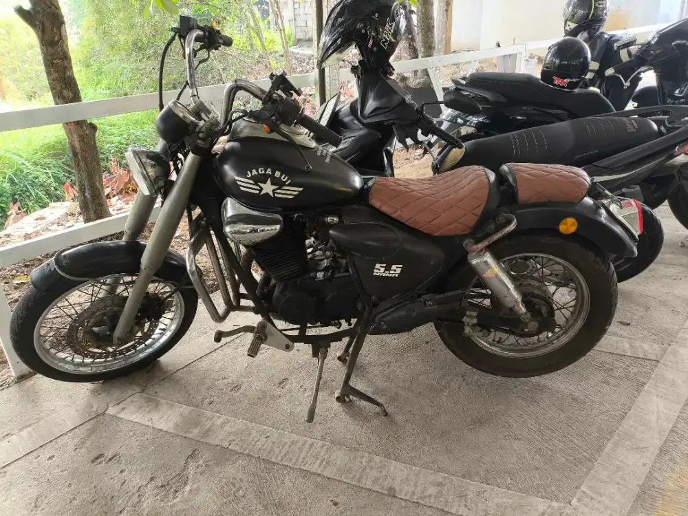 Motor custom model Herley devidson