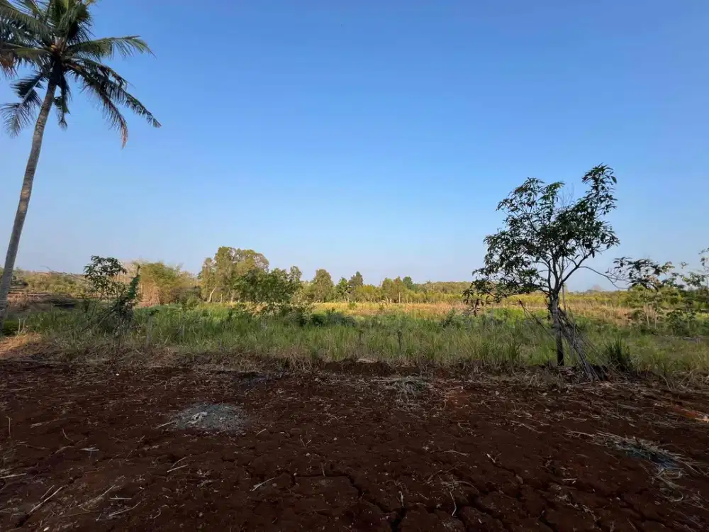 Jual tanah pinggir sungai oya di goa pindul Bejiharjo Karangmojo Gunungkidul murah dan asri