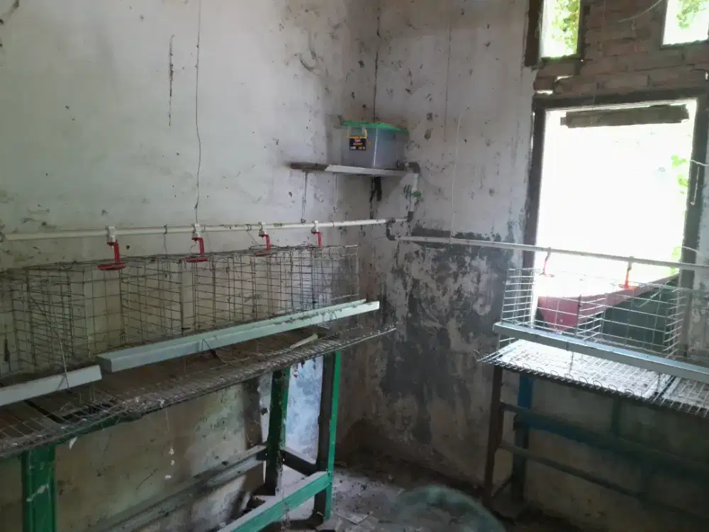 1 set kandang ayam petelur 32 ekor