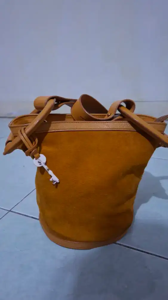 Tas Bucket fossil