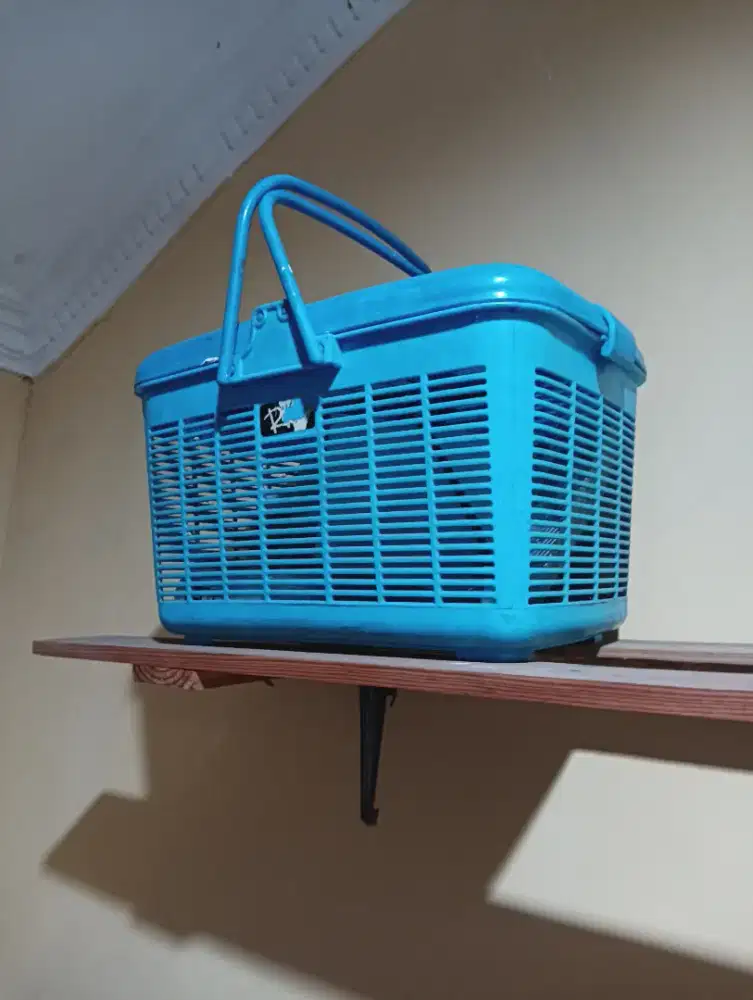 Keranjang kucing