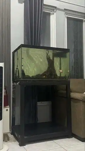 Aquarium Landscape Custom