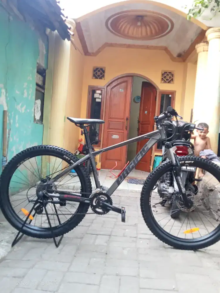 Pacific tranzline mx3