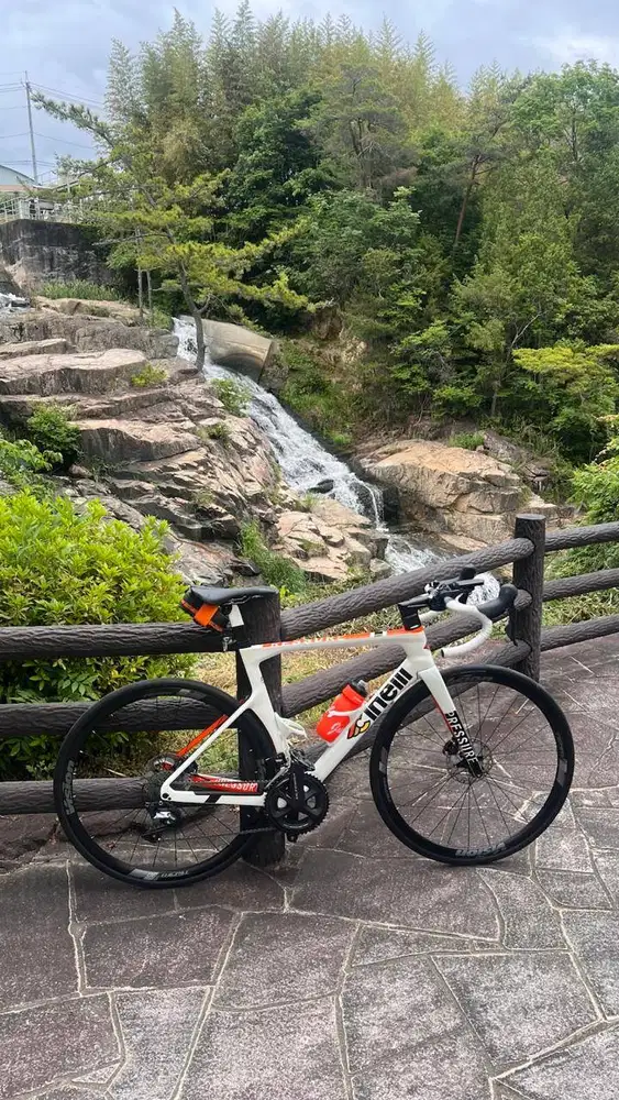 Cinelli Pressure