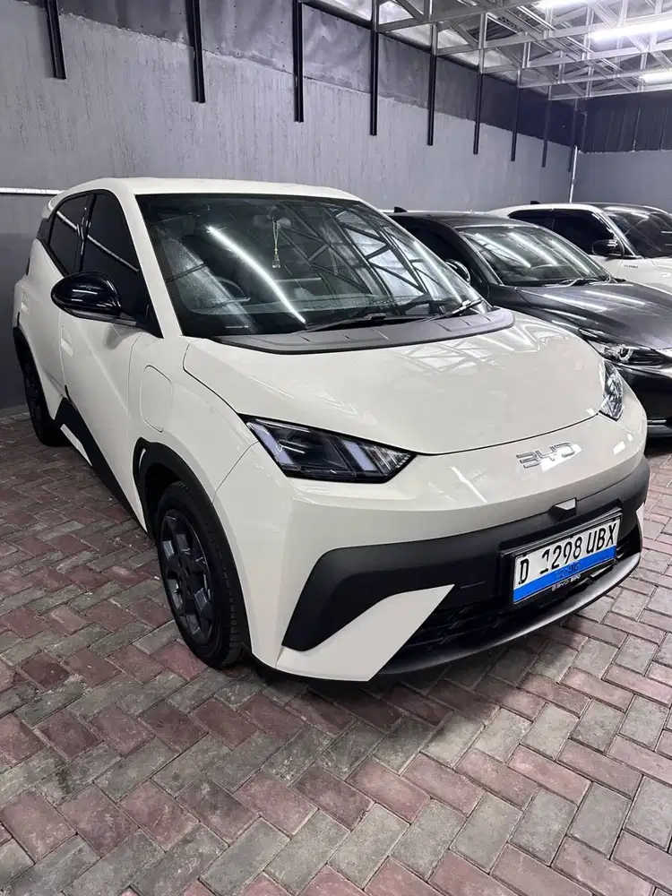 BYD ATTO 1 2-25 - KM 13.ooo