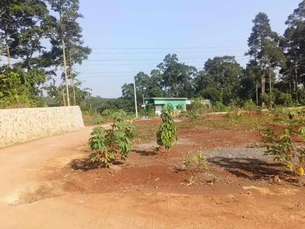 tanah murah dicepoko gunungpati perluasan kavling SHM