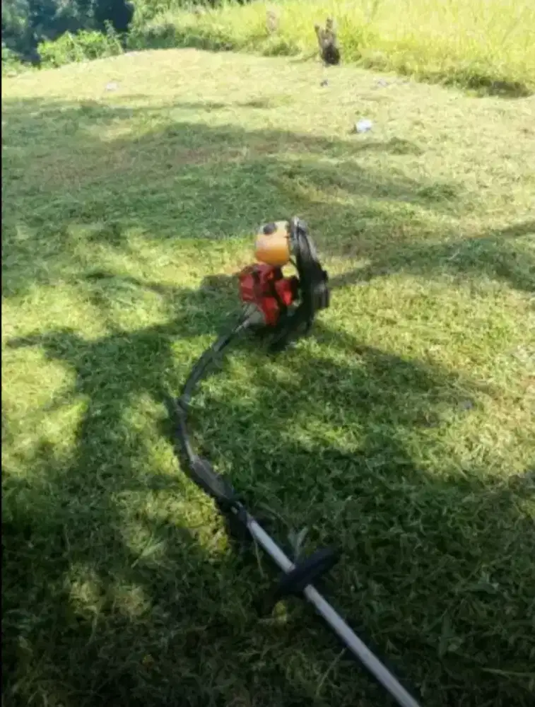 Jasa potong rumput dekorasi taman dll