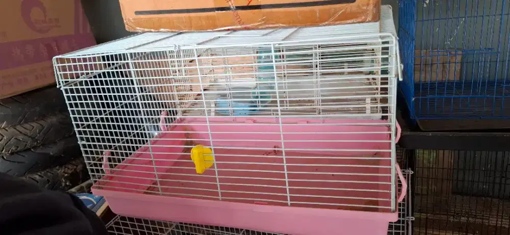 Kandang besi besar ukrn 47 x 30 x 30 cm utk hewan pengerat reptil dsb