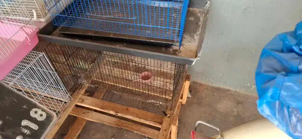 Kandang besi besar uk 47 x 30 x 30 cm utk hewan pengerat reptil dsb