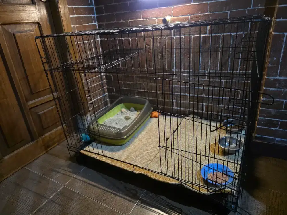 KANDANG KUCING LIPAT JUMBO
