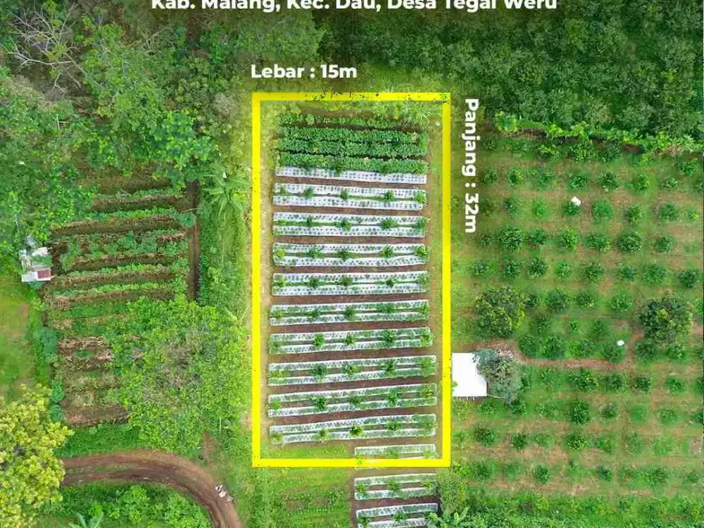 tanah 1jt'an/m² seluas 480m² malang dkt unmuh universitas muhammadiyah suhat sukarno hatta