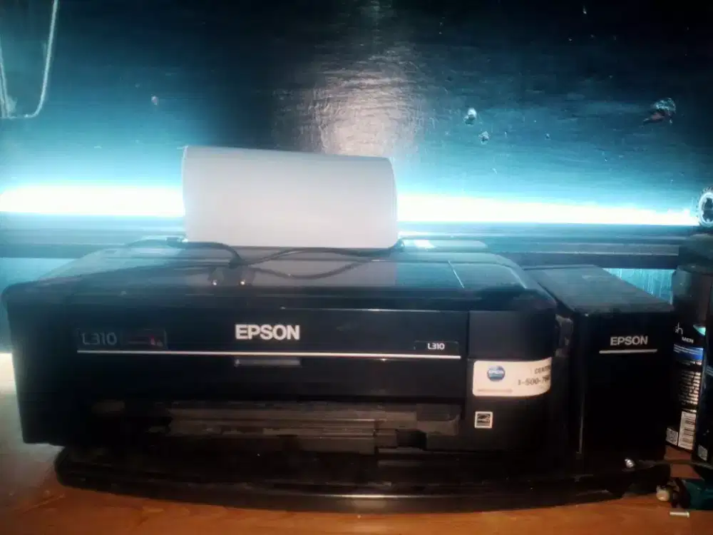 Epson L310 printer
