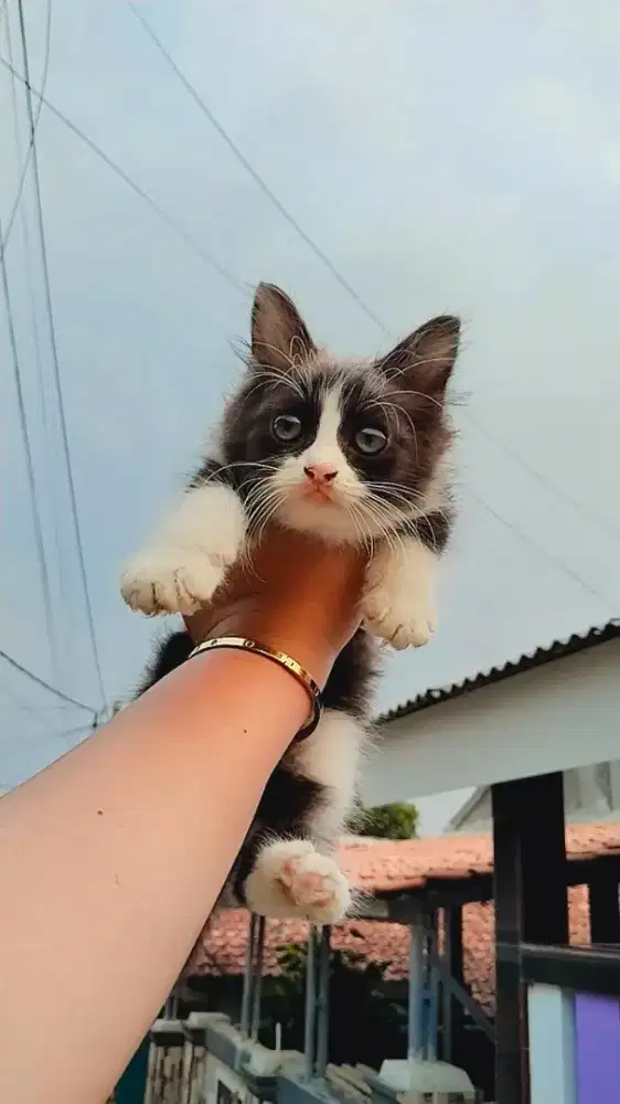 Aku lagi cari pekerjaan jadi art/ baby sister