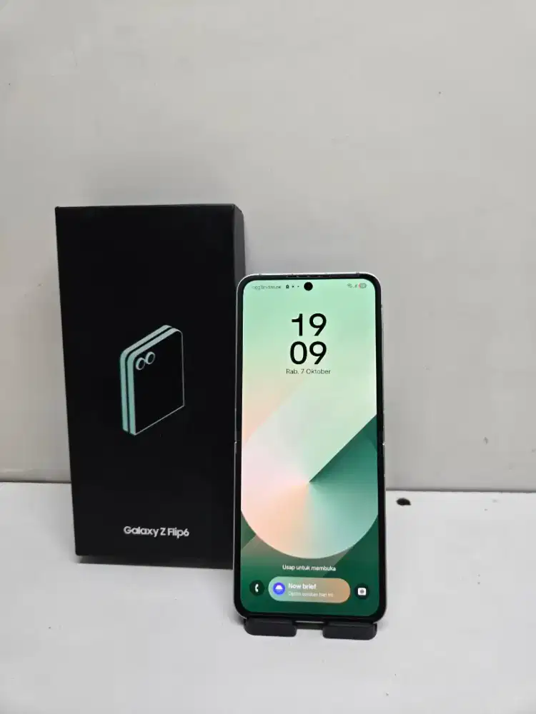 SAMSUNG Z FLIP 6 12/256 SEIN RESMI