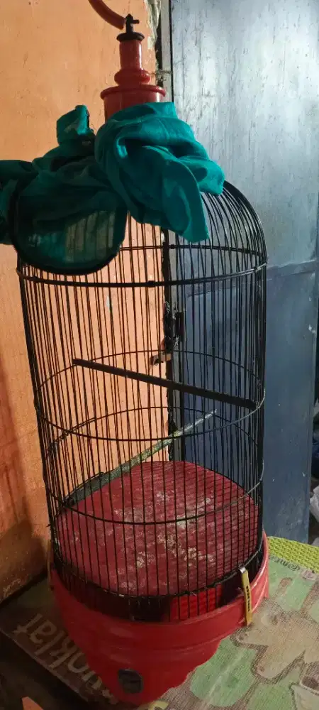 sangkar / kandang kapsul EBOD ori