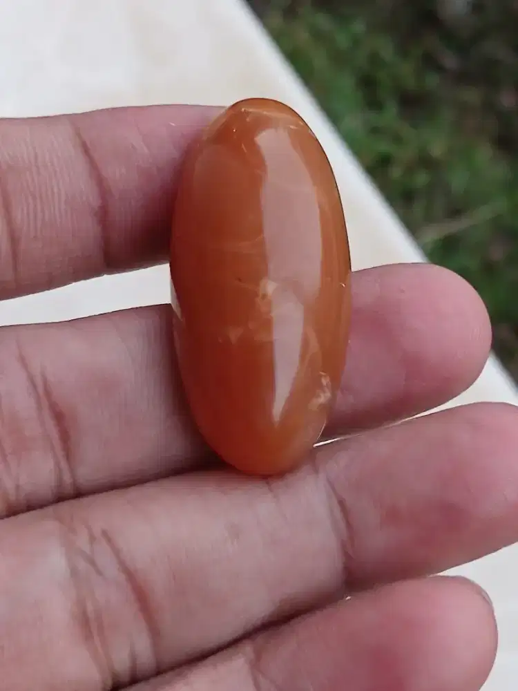 Kembang johar natural warna mateng kuning telur asin