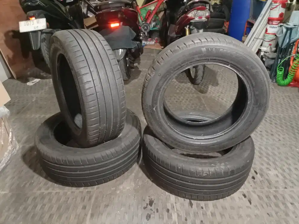 Ban Mobil Michelin Pilot Sport