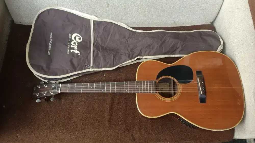 Gitar morris japan