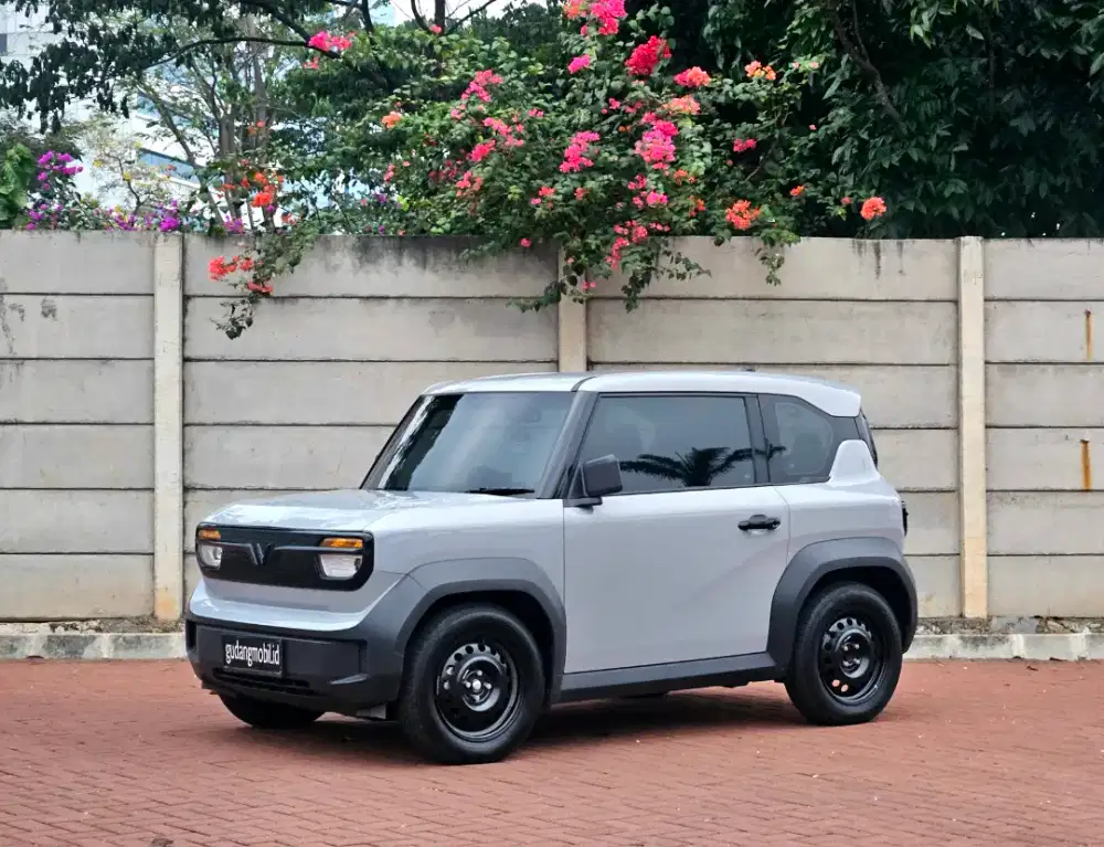 VinFast VF3 Include Battery 2025 Grey