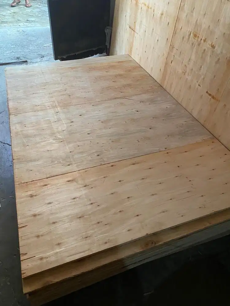 triplek bekas ukuran 100x160 cm tebel 18 mm