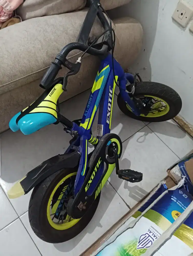 Sepeda anak usia 2-5th