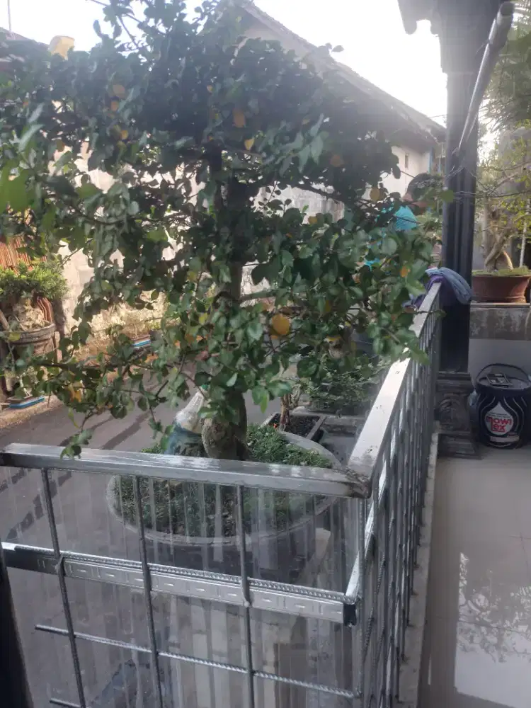 Jasa potongrumput dan perawatan taman