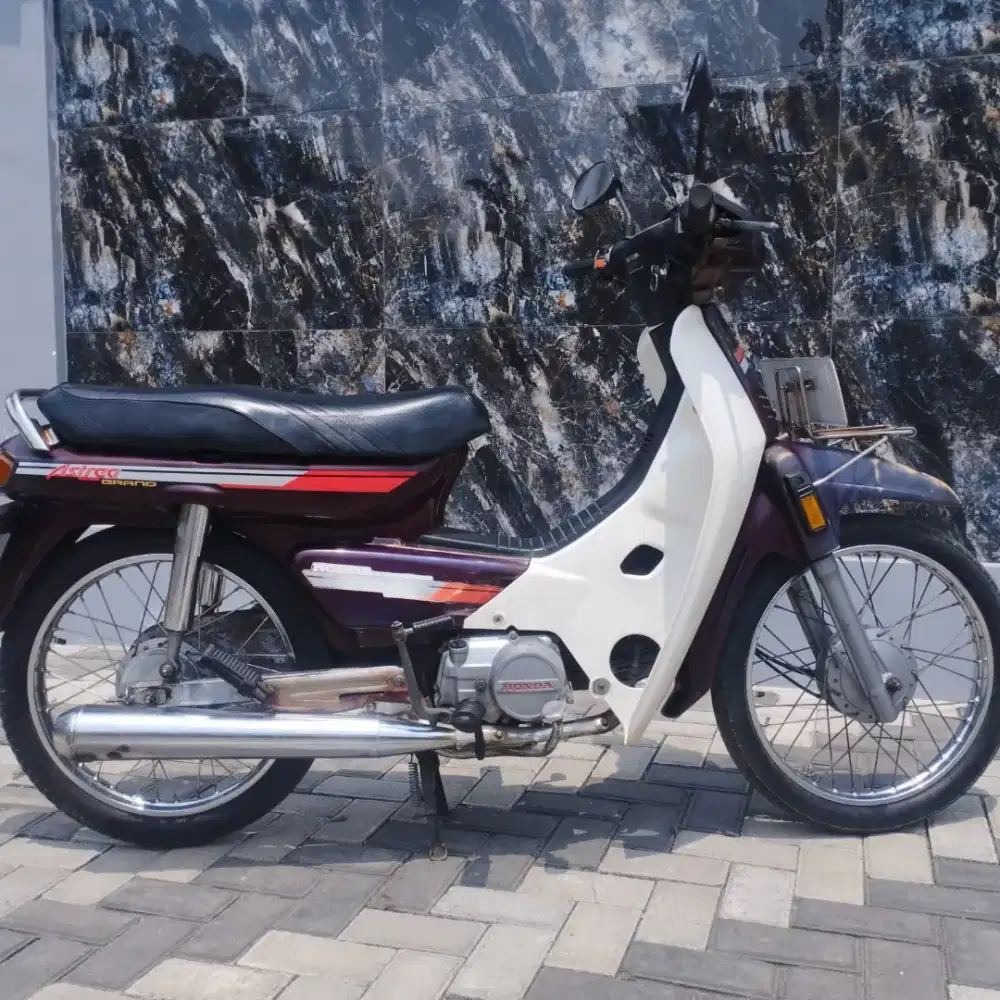 Astrea grand bulus merah