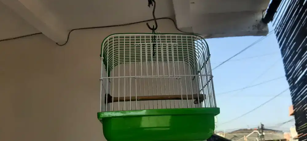 Di jual kandang Hamters