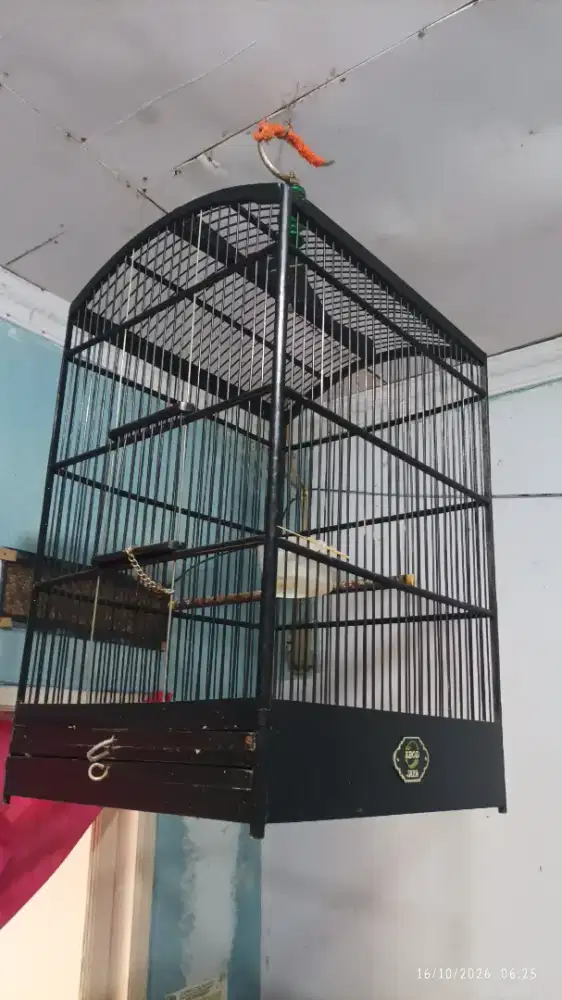 Kandang Ebod ori no 2 masih bagus