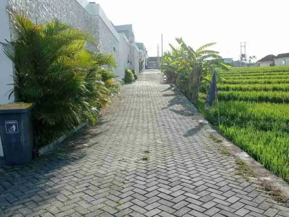 TANAH CENTRAL CANGGU DEKAT PANTAI BERAWA