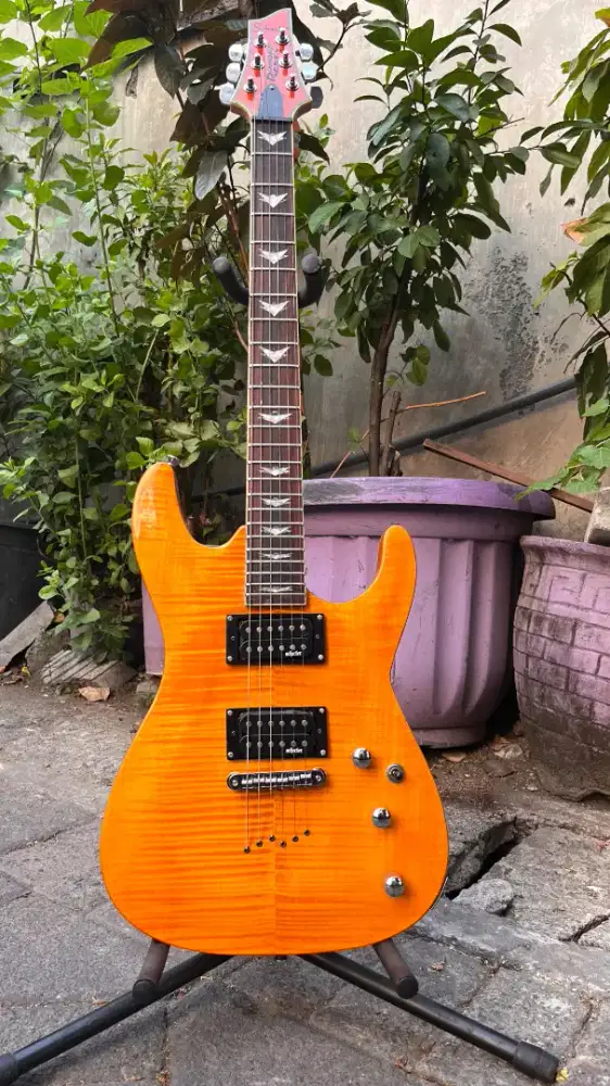Gitar schecter keren