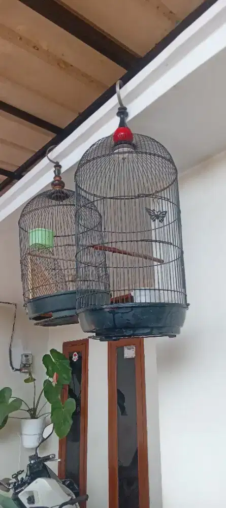 Sangkar burung capsule