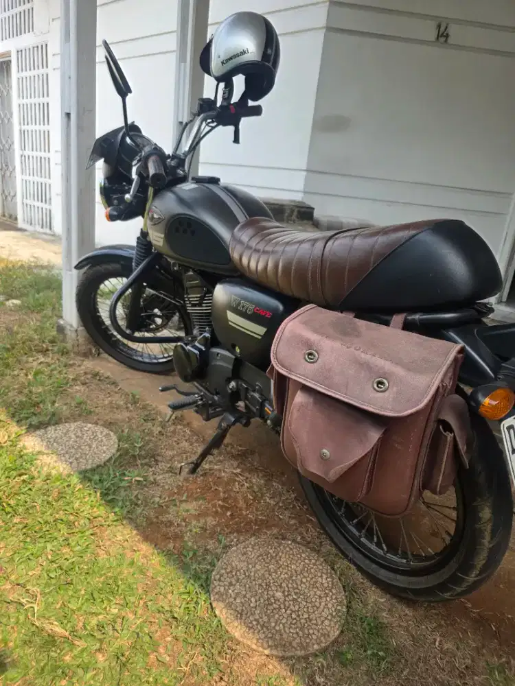W175 Cafe mulus plat D