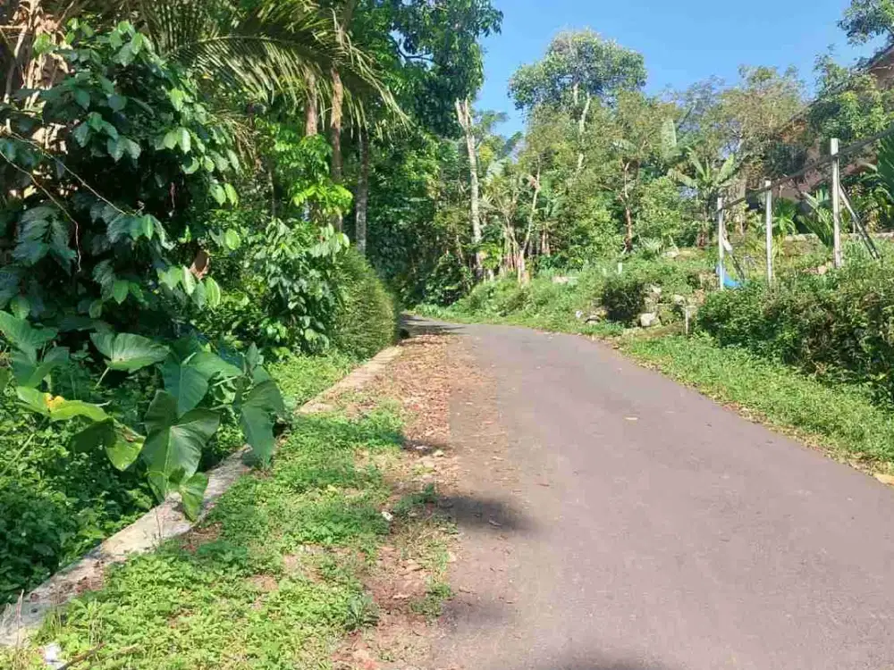 DIJUAL TANAH GUNUNGPATI, KALISIDI UNGARAN ARAH CURUG LAWE, SEMARANG