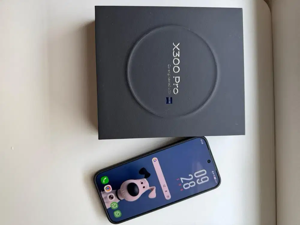 Vivo X300 Pro Black 16/512
