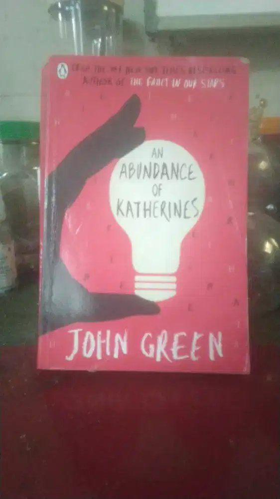 Novel An Abudance of katherines