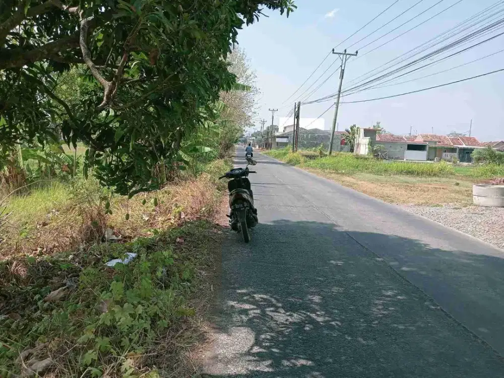 sawah jalur hidup pusat ekonomi cocok buat usaha
