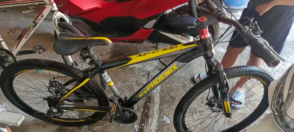 Sepeda Phoenix bekas