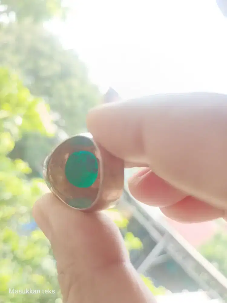 Bacan rung perak