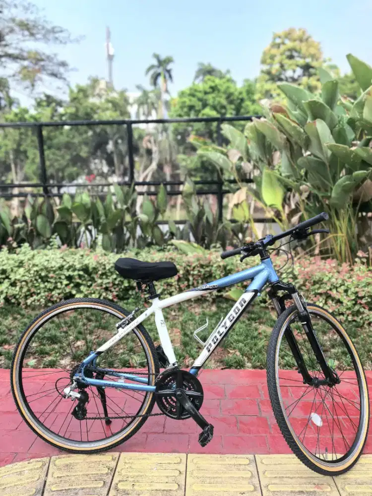 Polygon Vintage Hybrid 700C