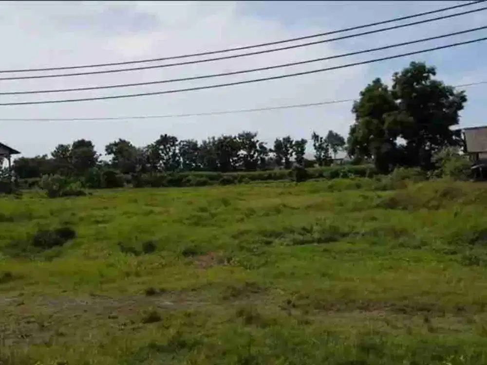 Tanah 4 Ha Ex Pabrik di Tayu Pati