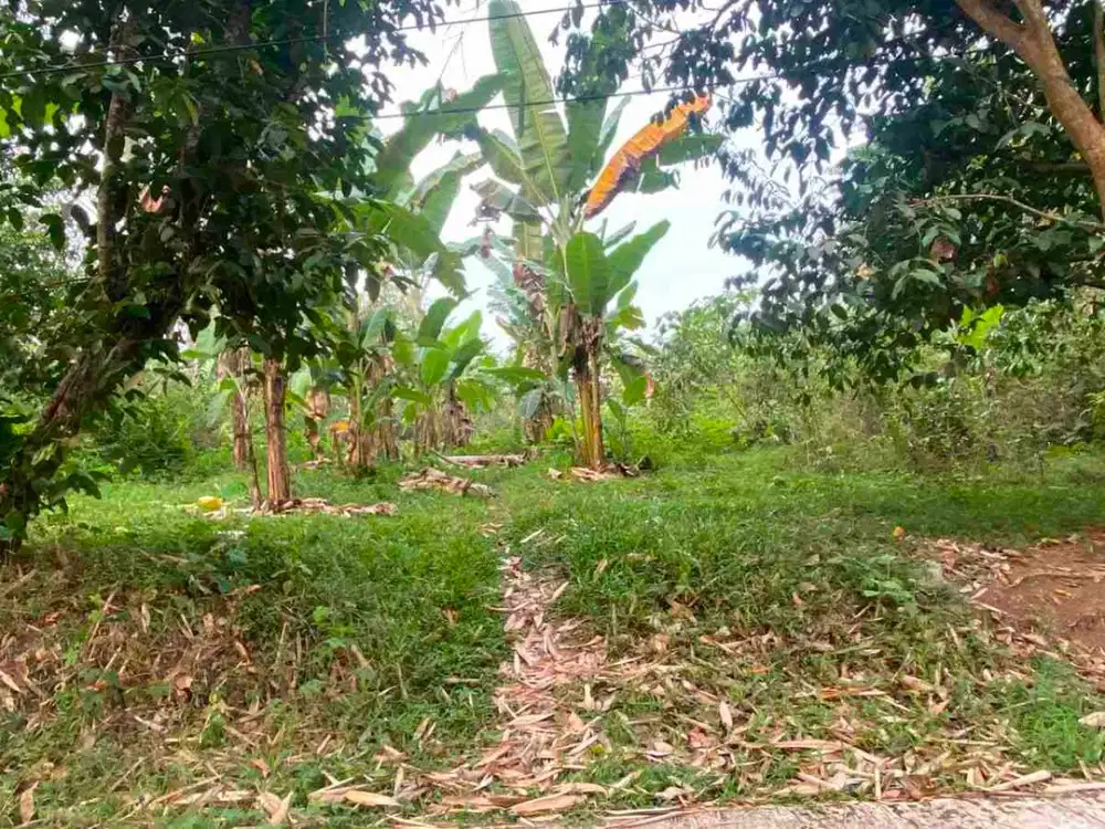 Dijual Tanah Pinggir Jalan luas tanah 300 m² - Rp.85 Jt 
Lokasi : Gunung Sari Serang Banten