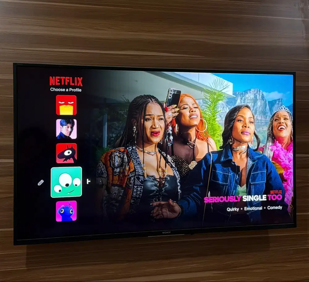 Sony TV Bravia 49 inch