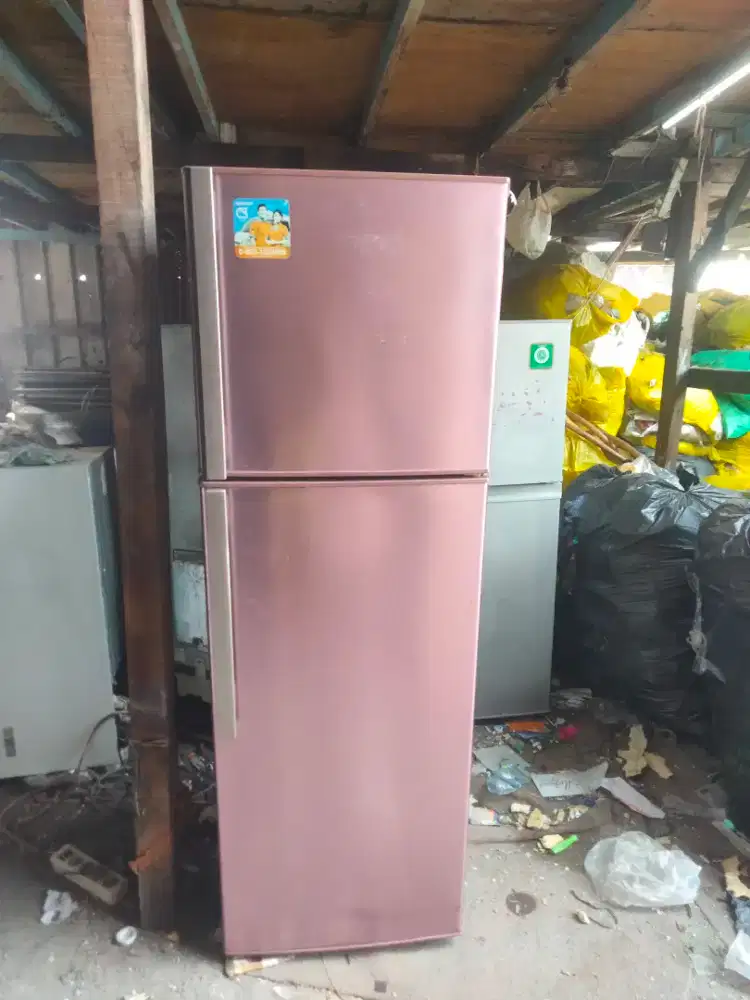 Kulkas 2 pintu merek Sharp