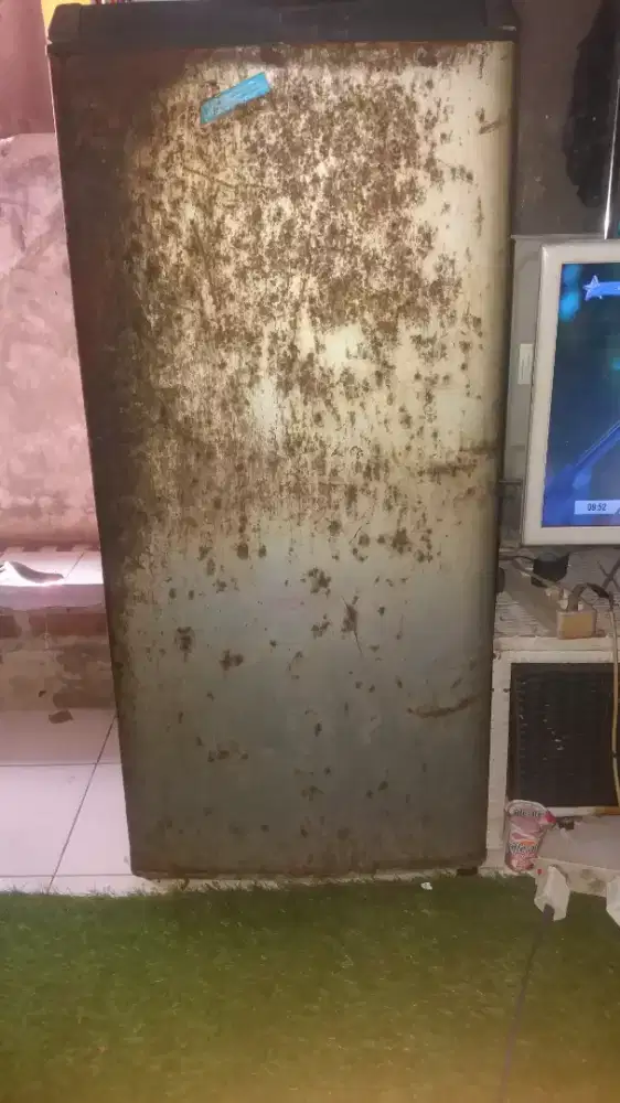 Kulkas satu pintu dingin normal