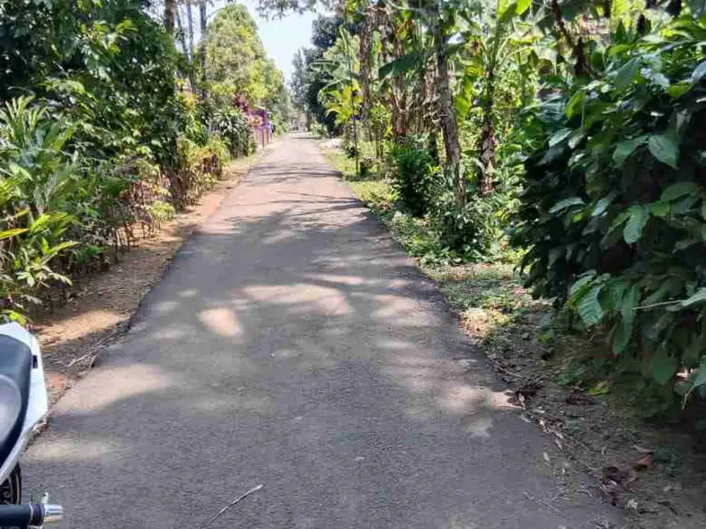 tanah darat kebun