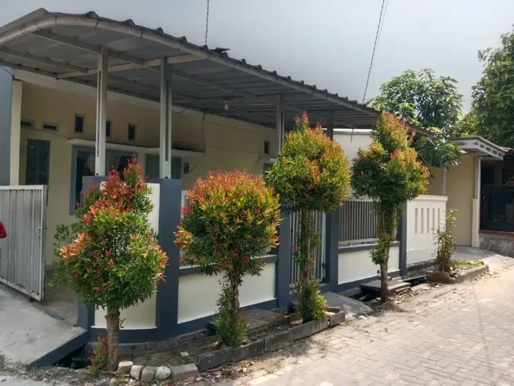 Dikontrakan Grand Sutera Rajeg