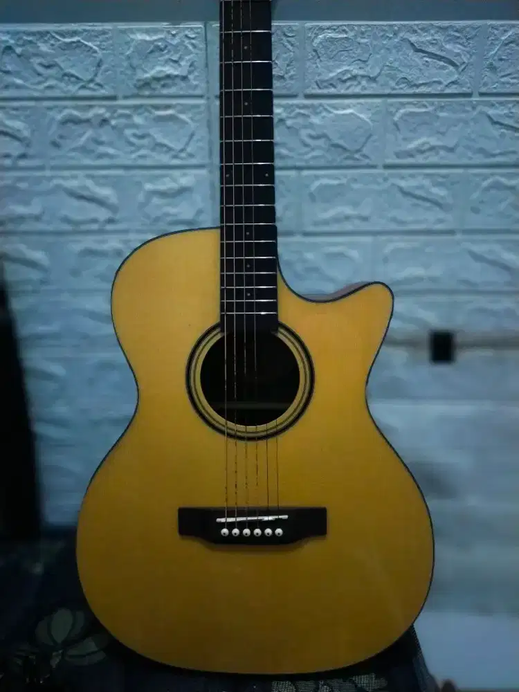 Gitar akustik elektrik Karl SteinHoff