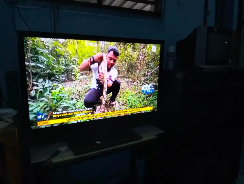 Tv plasma LCD merk LG