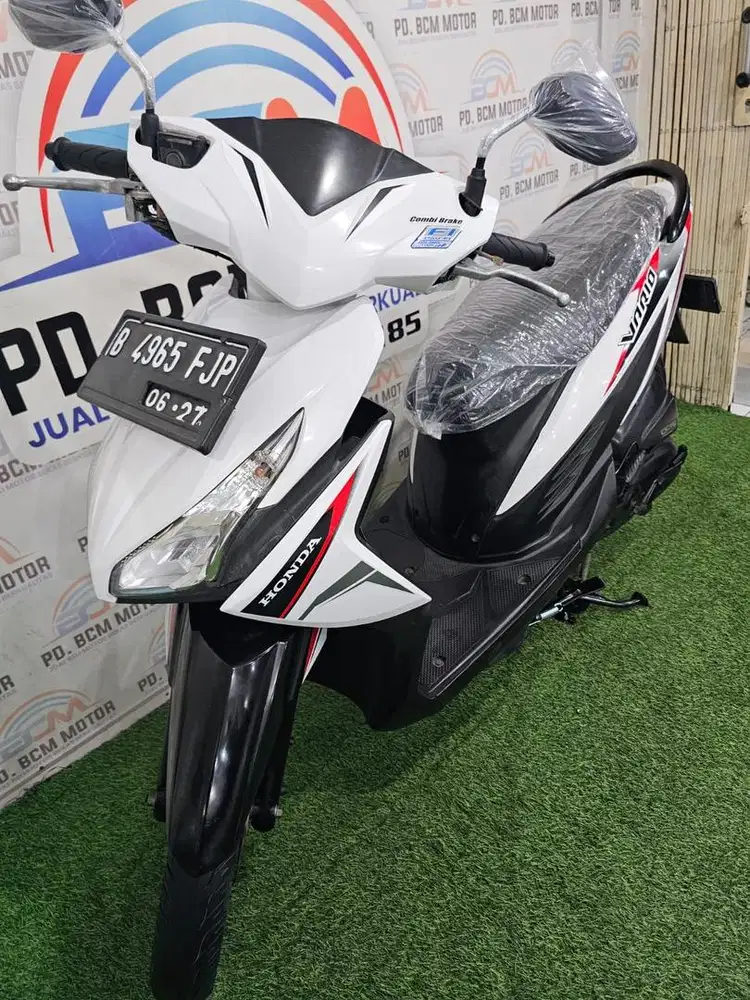 Vario 110 Agnes 2017
